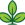 Regenerate Icon